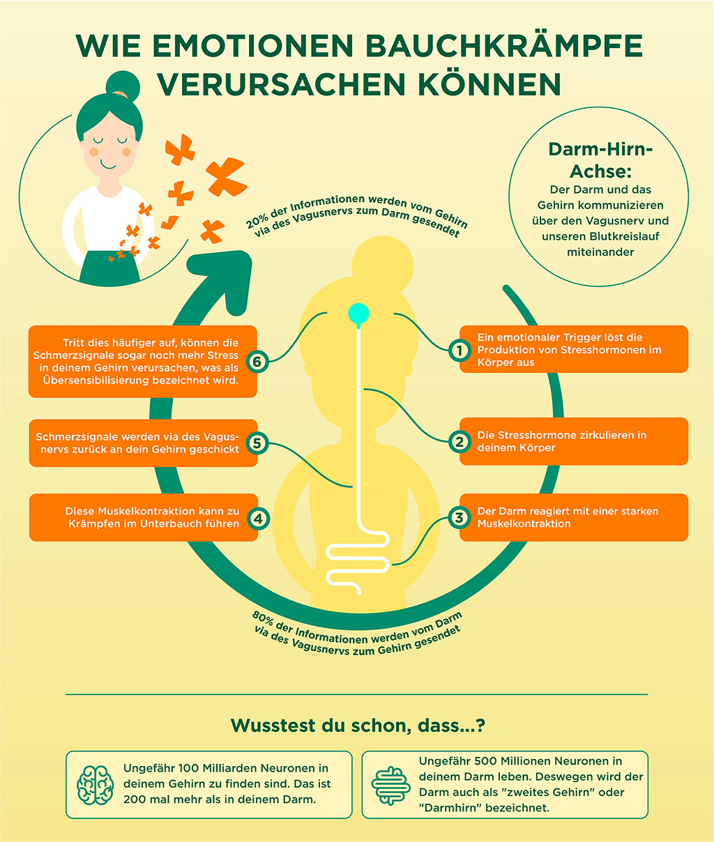 Entlang der Darm-Hirn-Achse werden Signale gesendet. Emotionen lösen so Bauchkrämpfe aus.